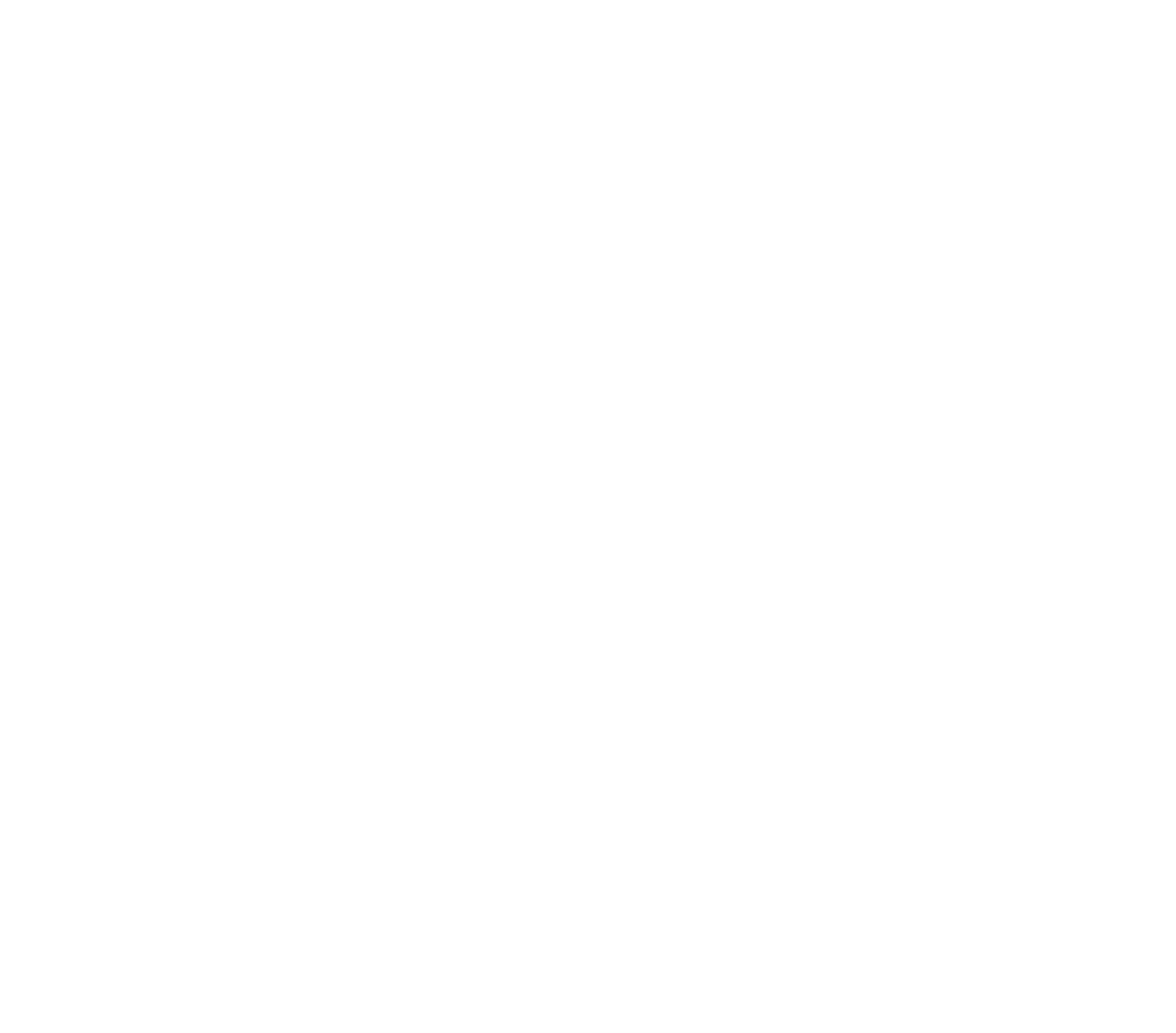 Kurz Paletten | 60 Jahre Jubiläum | Logo weiss